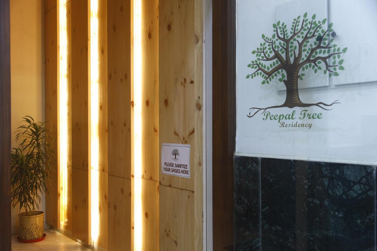 Peepal Tree Residency Bed & Breakfast New Delhi Exterior foto